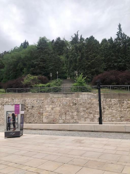 Apartamento Vivienda De Uso Turistico En El Corazon De Burgo Exterior foto